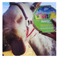 Little Likit - Apple Flavour Horse Treat - Buy Online SPR Centre UK