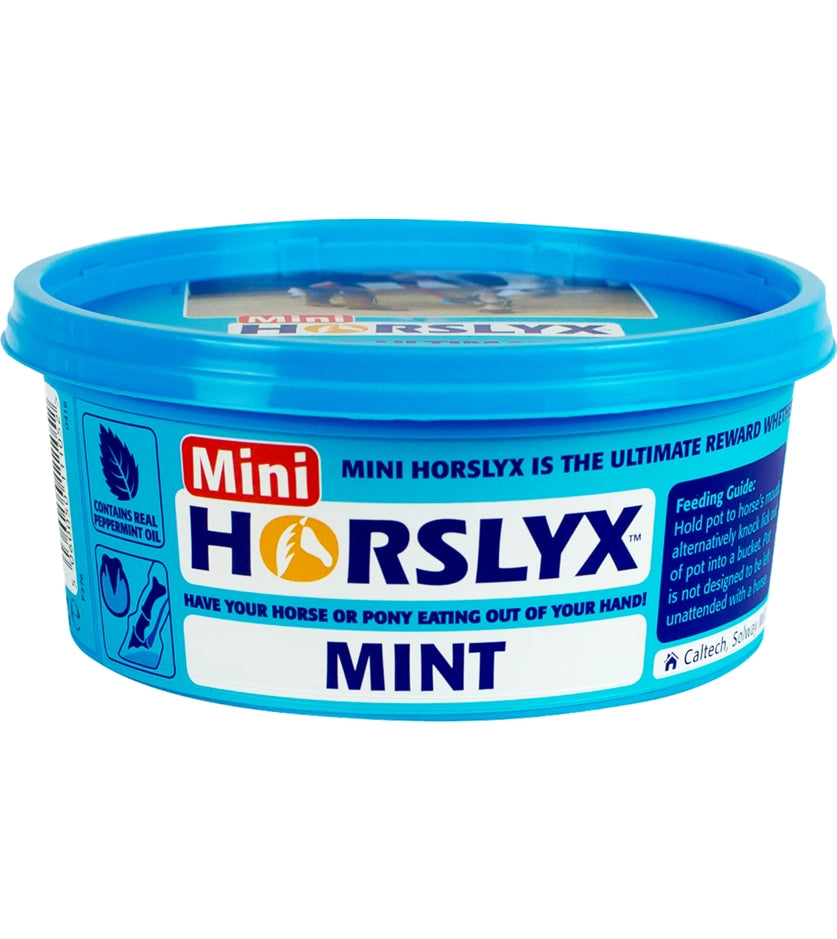 Mini Horslyx - Mint 650g - Buy Online SPR Centre Uk