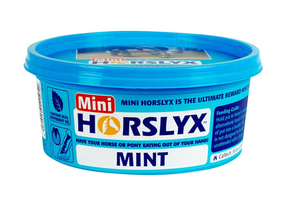 Mini Horslyx - Mint 650g - Buy Online SPR Centre Uk