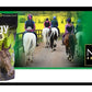 NAF - Hedgy Treats | Horse Treats - Buy Online SPR Centre UK
