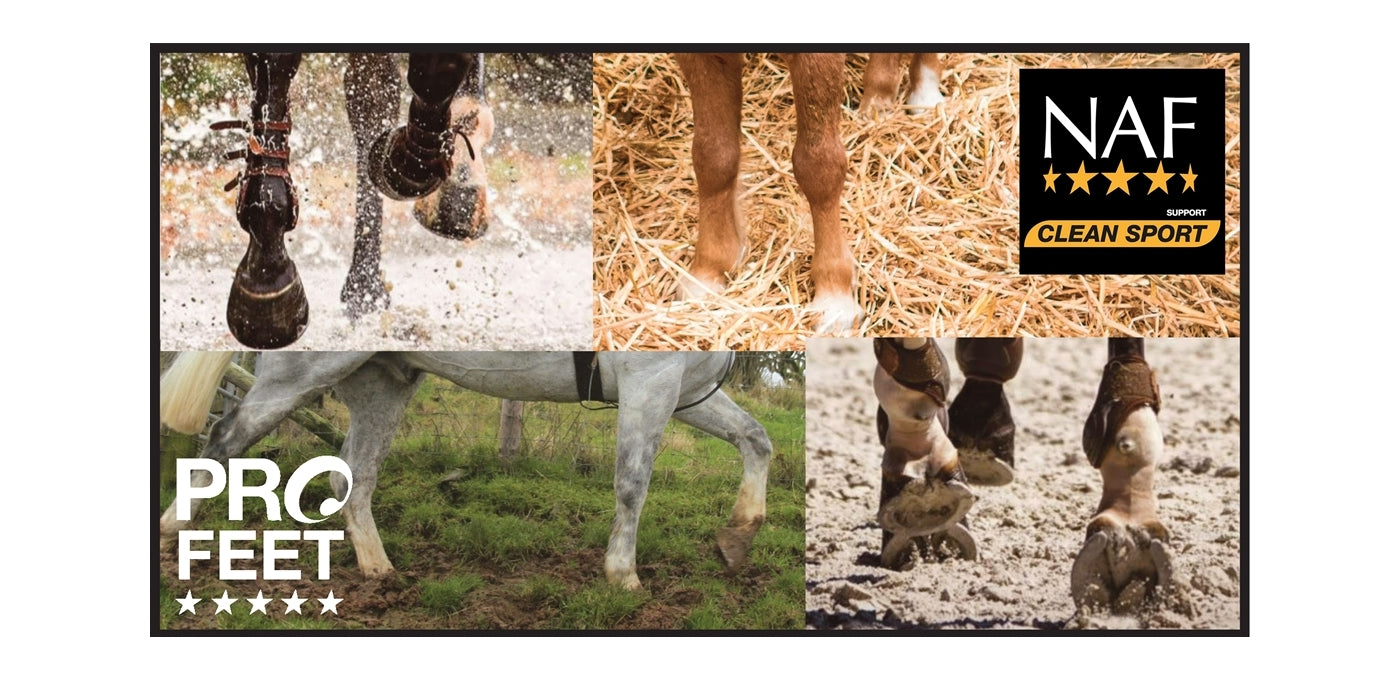 NAF Profeet Hoof Moist (Natural) | Horse Care - Buy Online SPR Centre UK