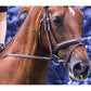 NAF - Respirator Boost | Horse Care - Buy Online SPR Centre UK