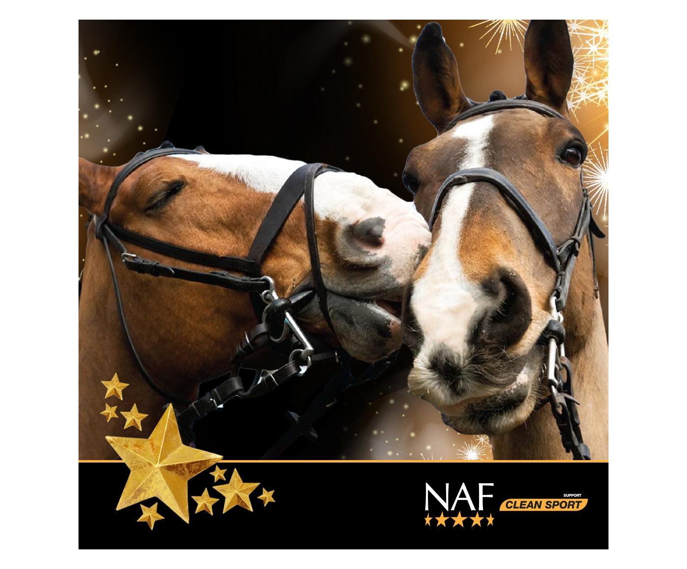 NAF D-itch Lotion | Horse Care - Buy Online SPR Centre UK