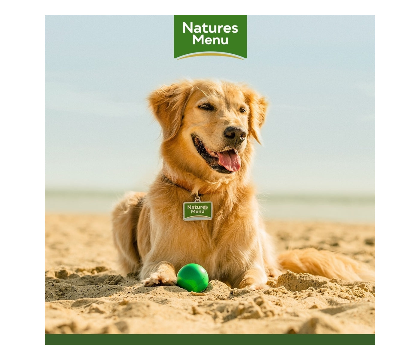 Natures Menu - Country Hunter Turkey with Superfoods - Buy Online SPR Centre UK