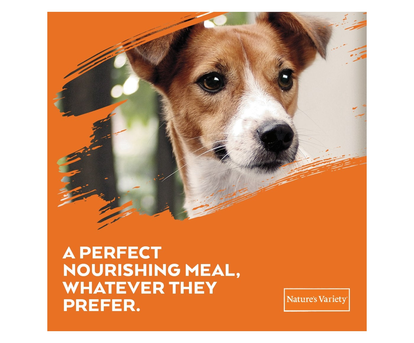 Natures Variety - Selected Norwegian Salmon for Mini Adult Dogs - Buy Online SPR Centre UK