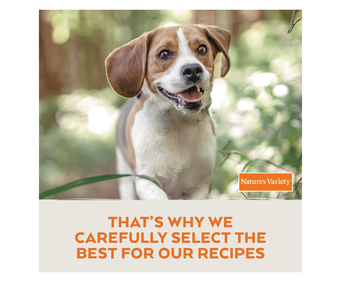 Natures Variety - Selected Free Range Chicken for Mini Adult Dogs - Buy Online SPR centre UK