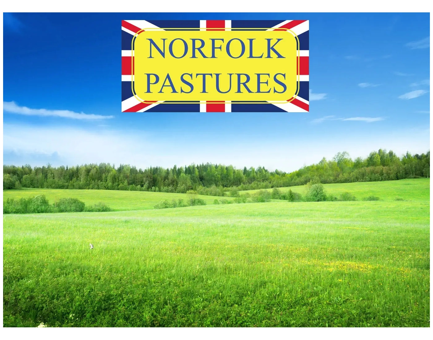 Norfolk Pastures - Dust Extracted Barley Straw 5kg - Buy Online SPR Centre
