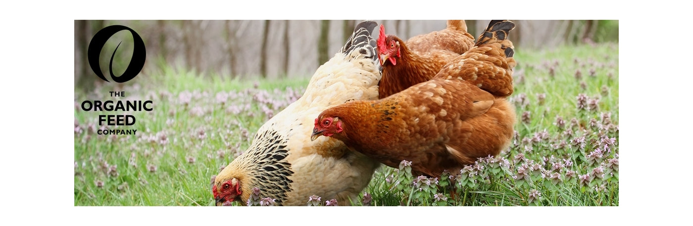 Organic Feed Company - Organic Layers Pellets - 5kg