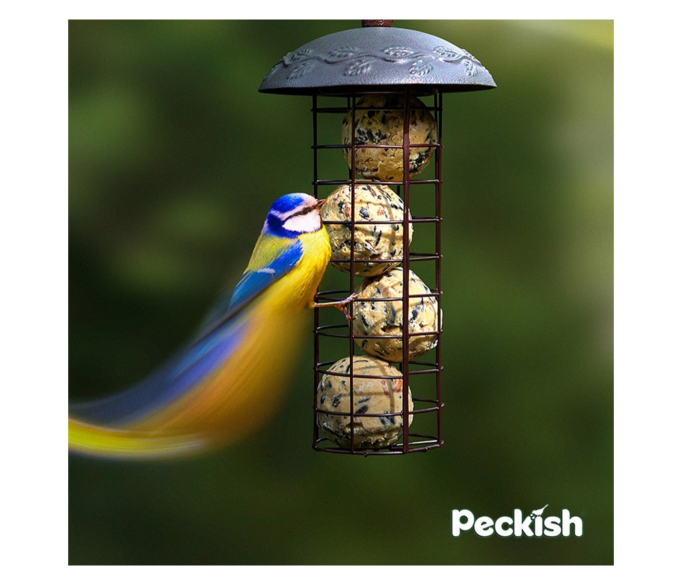 Peckish - Secret Garden Energy Ball Feeder - Buy Online SPR Centre UK