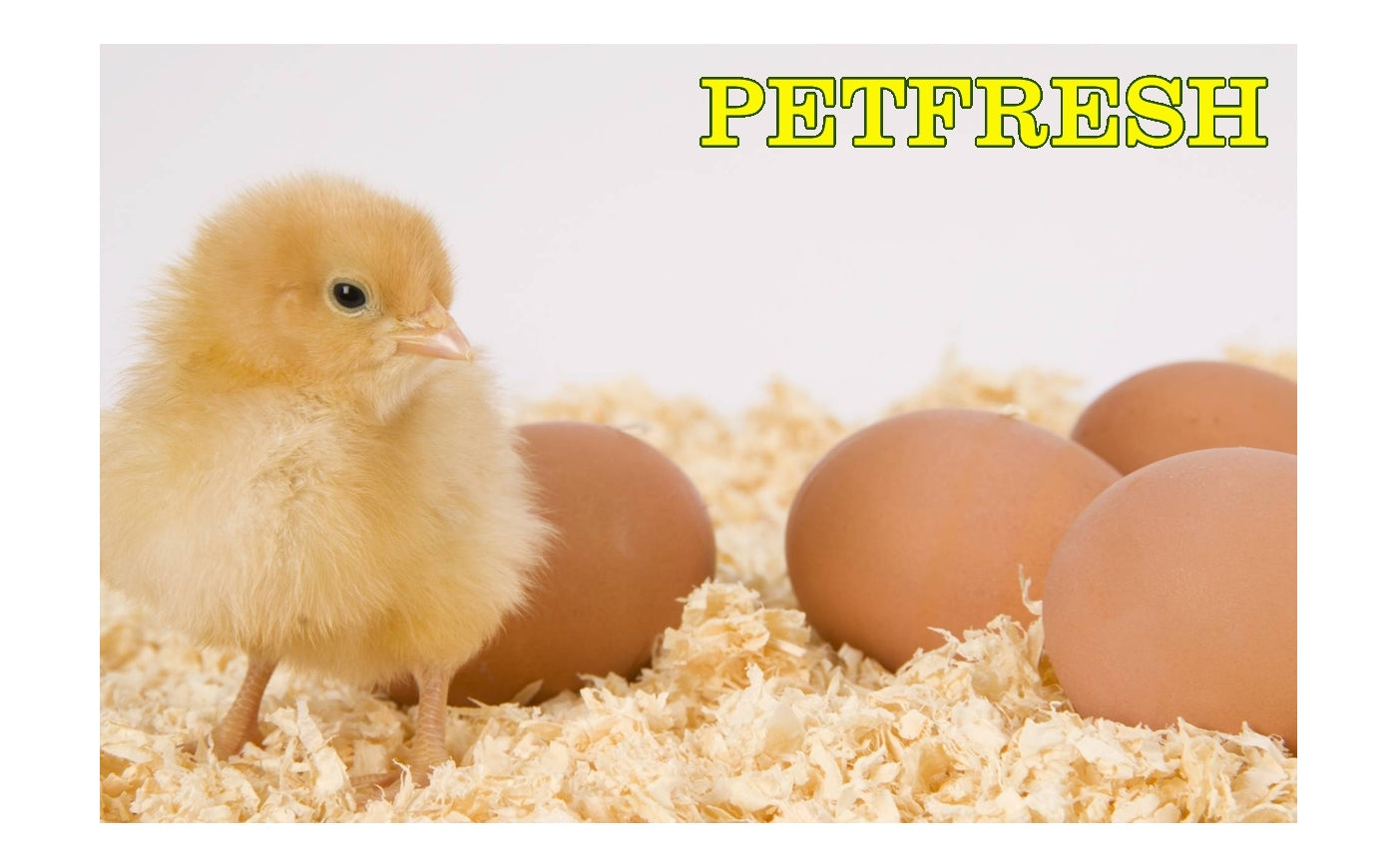 Pet Fresh - Woodshavings for Chickens, Cage Birds & Small Animals - Buy Online SPR Centre UK