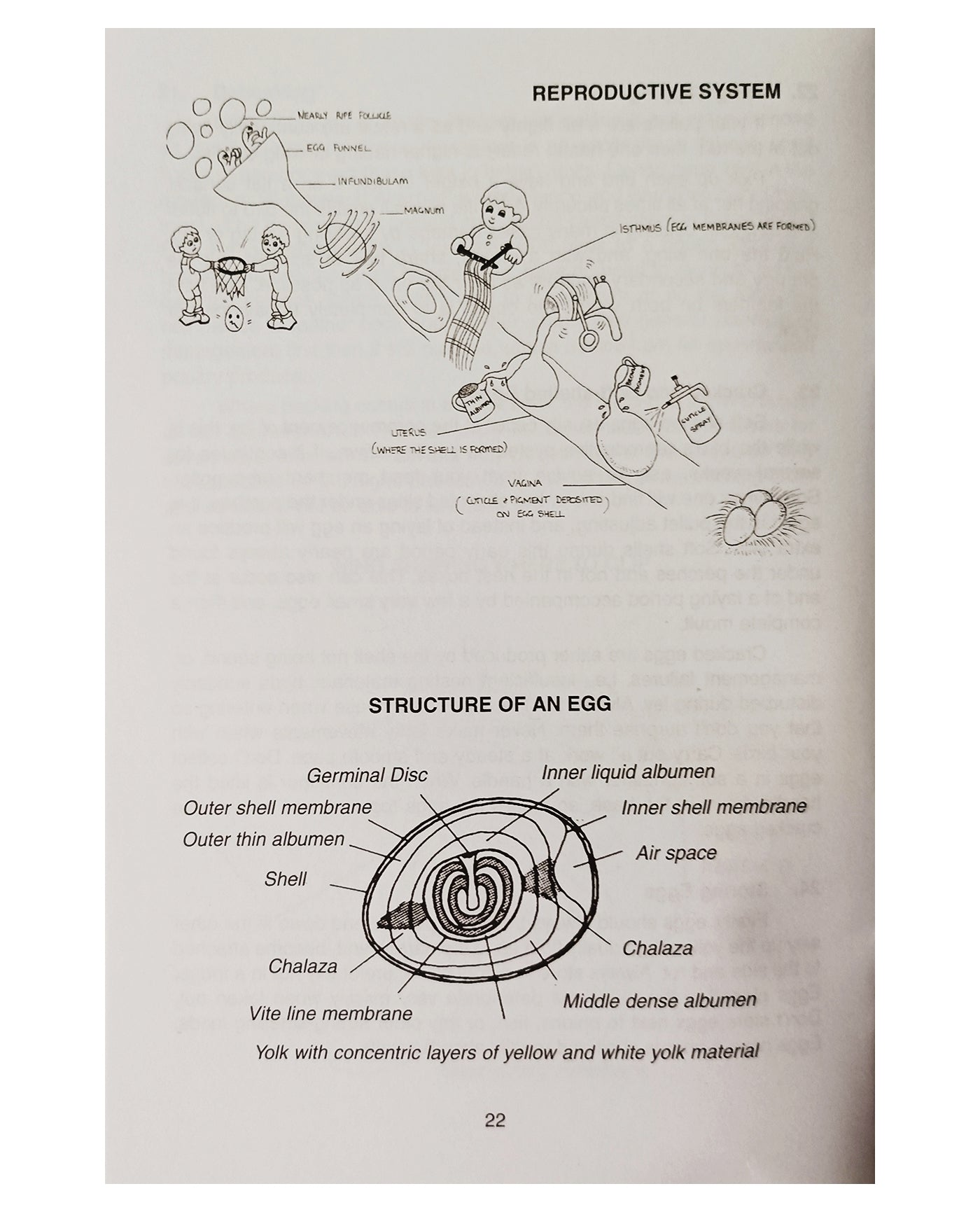 Poultry for the Garden (Paperback Book) - Buy Online SPR Centre UK