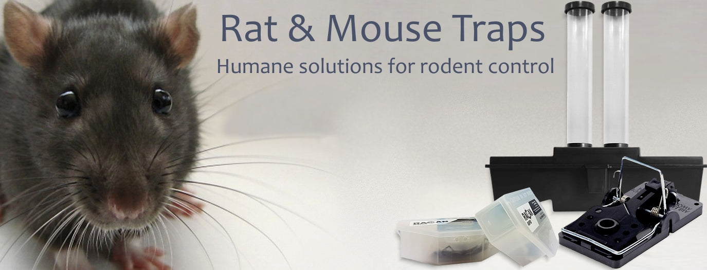 Rat & Mouse Traps for Sale - Buy Online SPR Centre UK