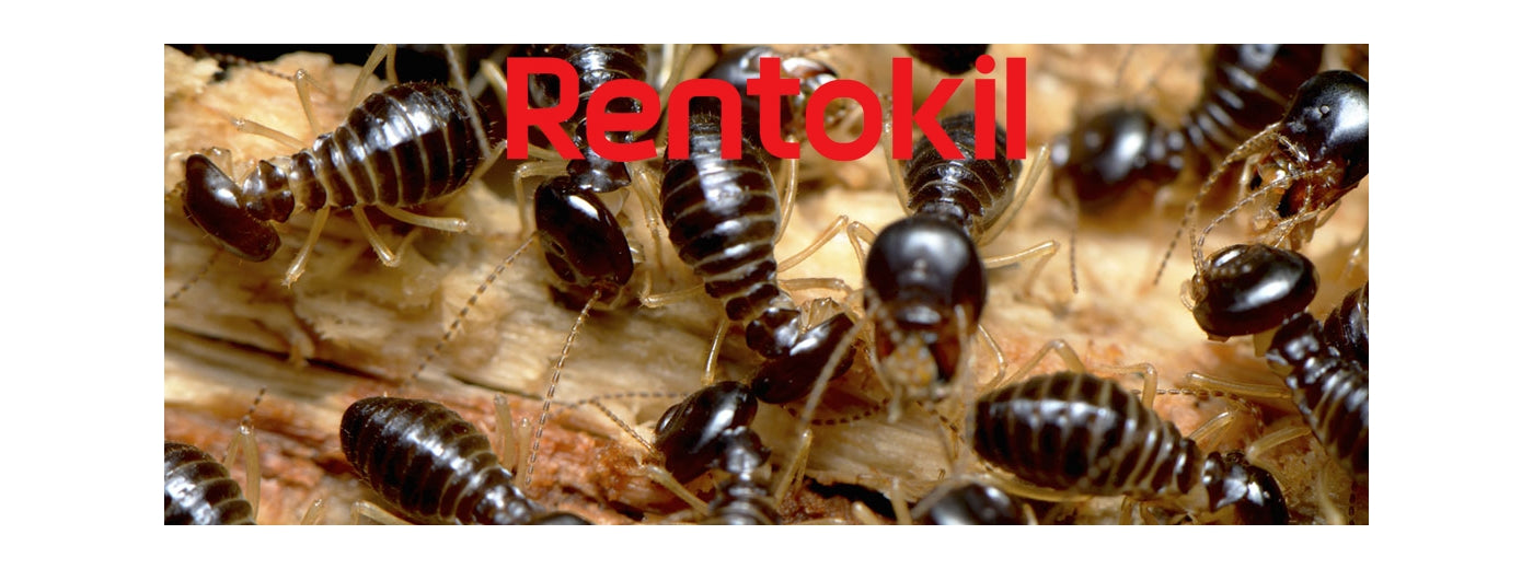 Rentokil - Ant and Crawling Insect Powder 150g - Buy Online SPR Centre UK