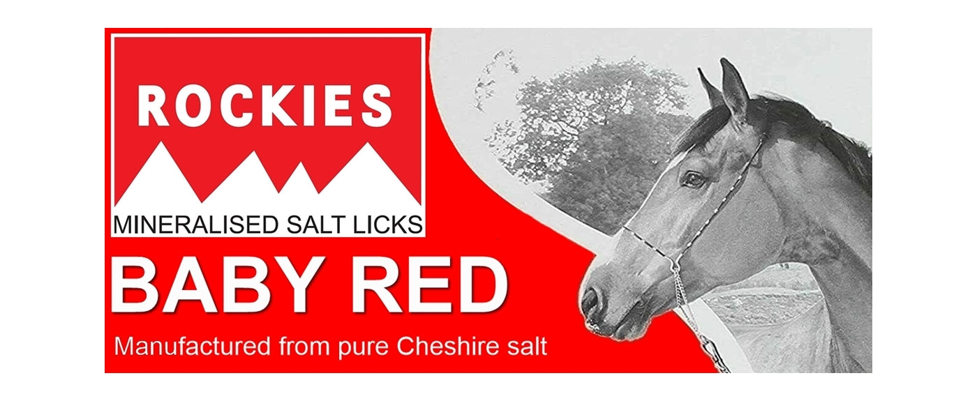 Rockies - Baby Red Mineralised Salt Lick for Horses - 2kg