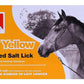 Rockies - Baby Yellow Mineralised Salt Lick for Horses - Buy Online SPR Centre UK