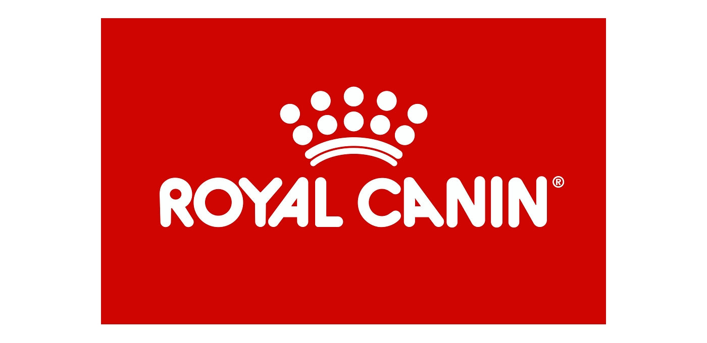 Royal Canin - Ragdoll Adult - Dry Cat Food