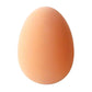 Eton - Rubber Nest Eggs (Banatam Size) - 4 Pack - Buy Online SPR Centre UK