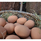 Eton - Rubber Nest Eggs (Banatam Size) - 4 Pack - Buy Online SPR Centre UK