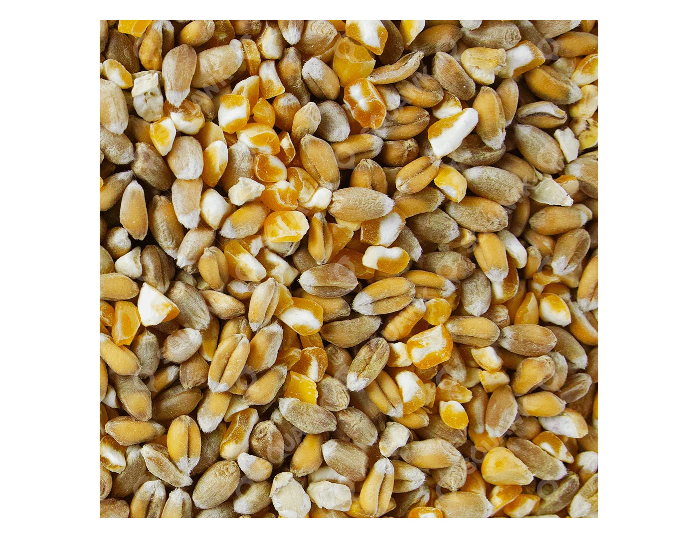 SPR - Mixed Corn for Poultry 20kg - Buy Online SPR Centre UK