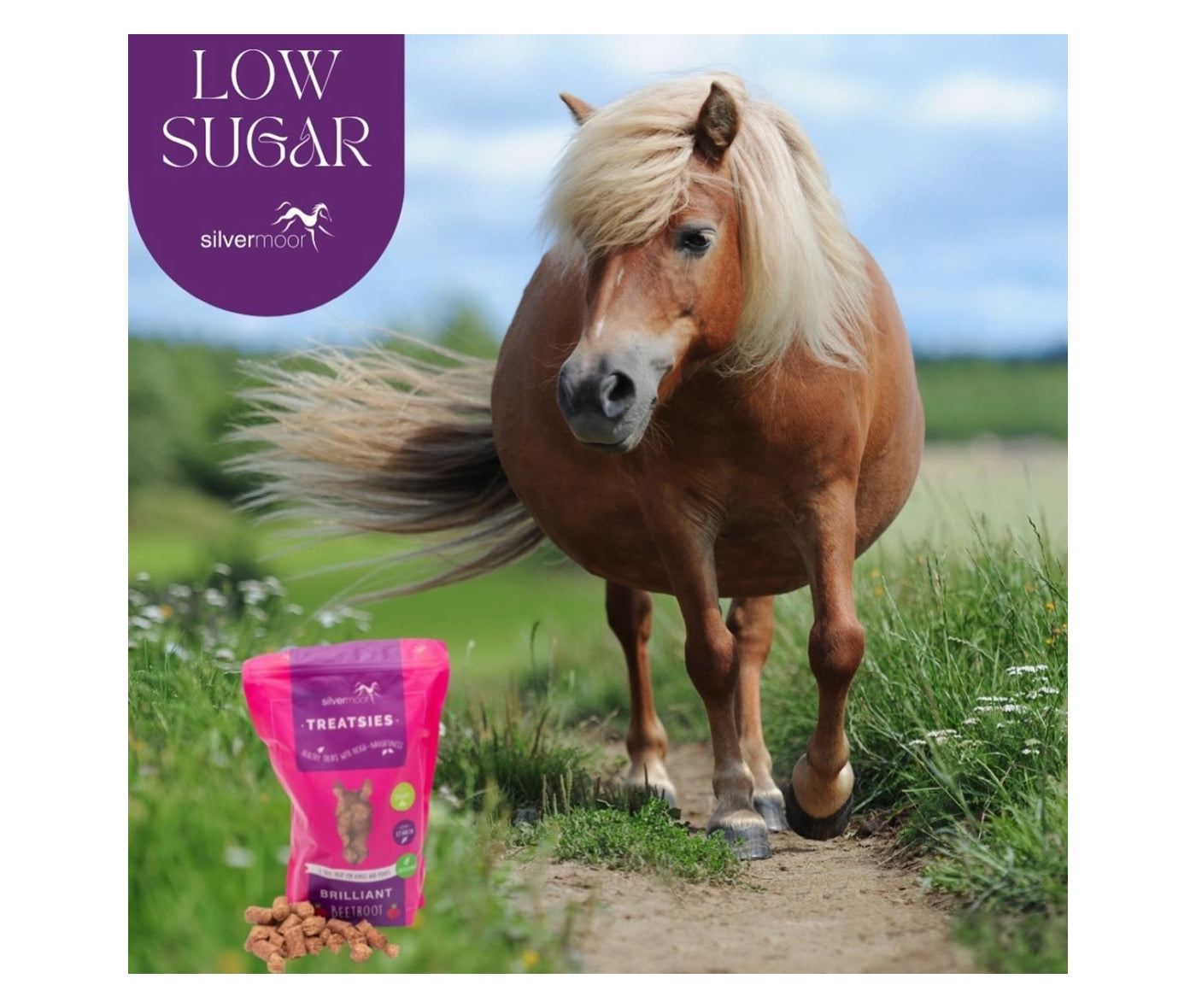 Silvermoor Treatsies - Brilliant Beetroot Flavour | Horse Treats - Buy Online SPR Centre UK