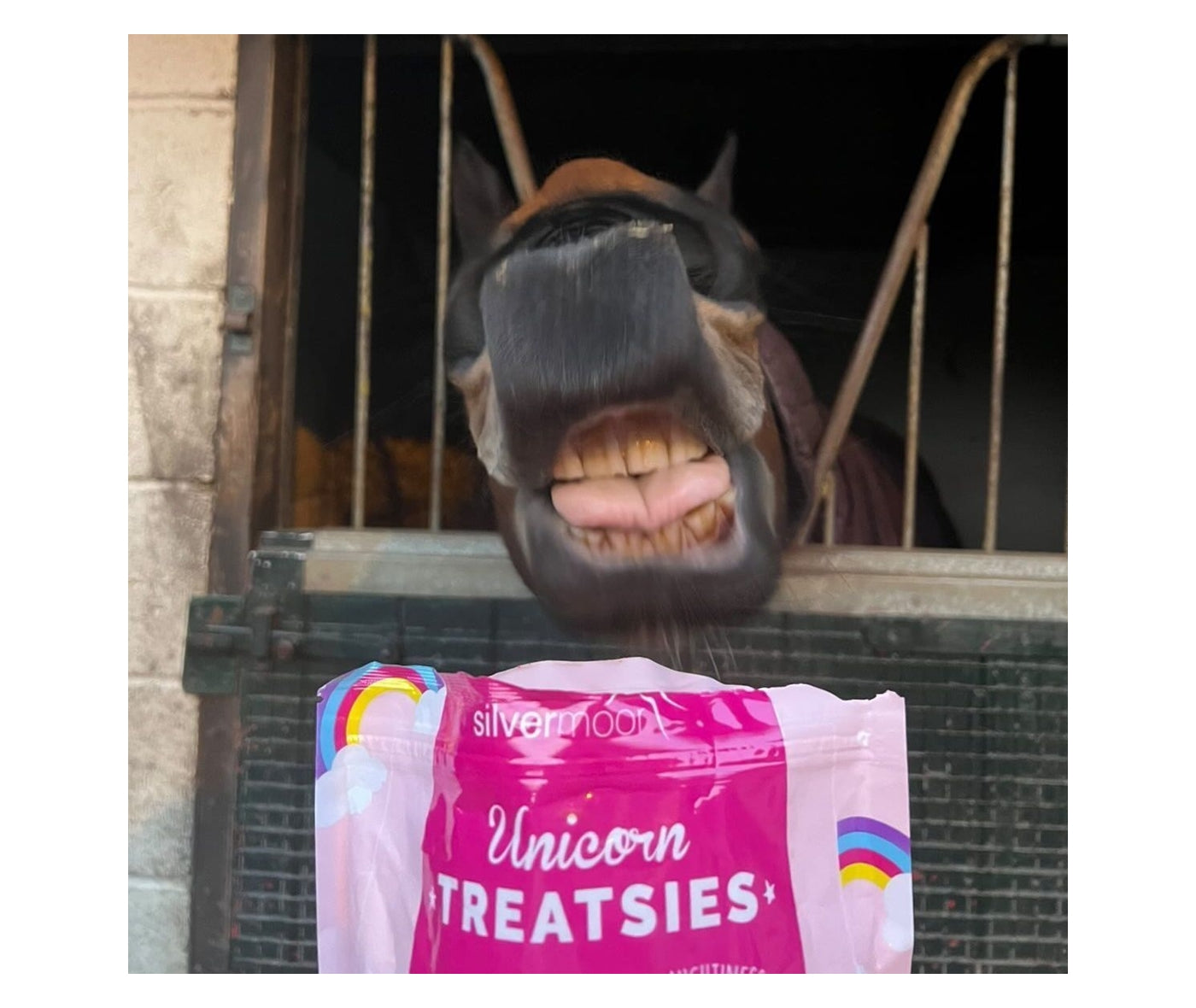 Silvermoor Unicorn Treatsies - Minty Flavour Horse Treats - Buy Online SPR Centre UK