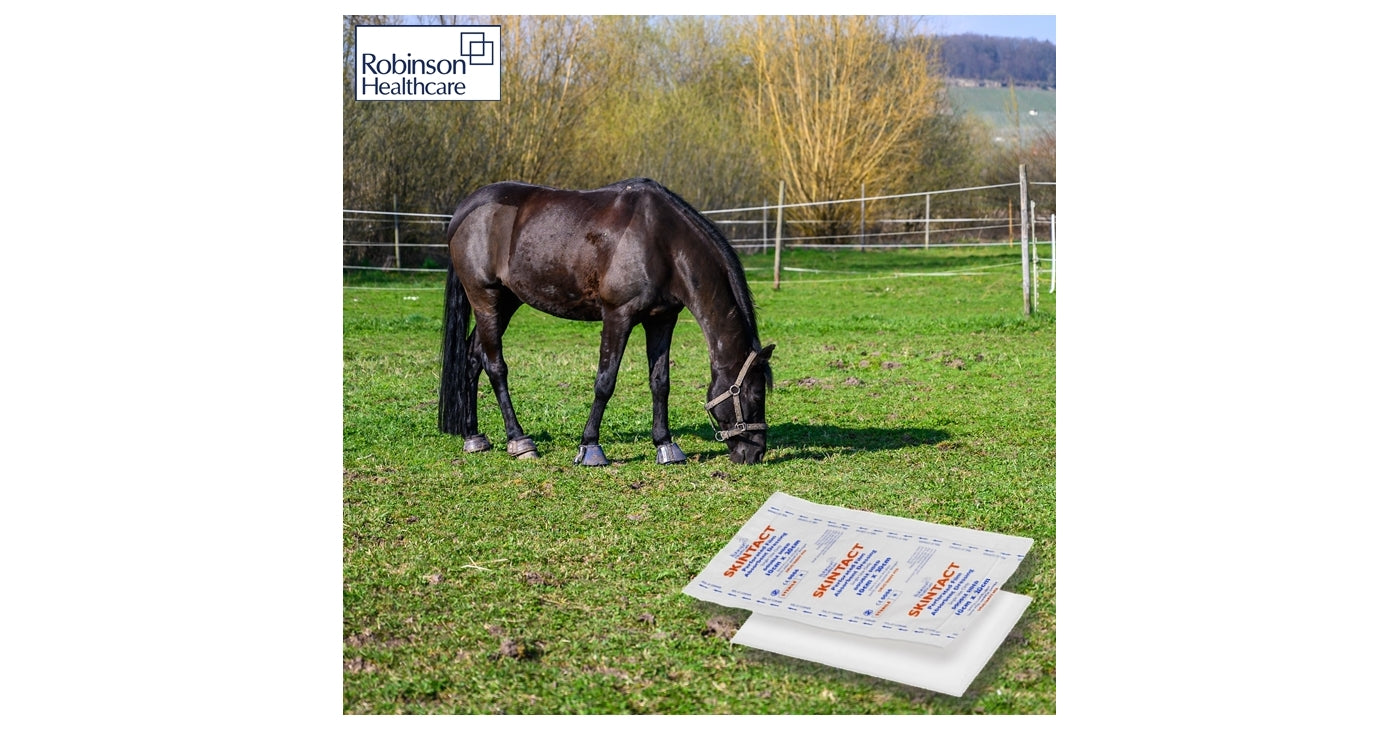 Skintact - Perforated Film Absorbent Dressing (10 x 20cm)