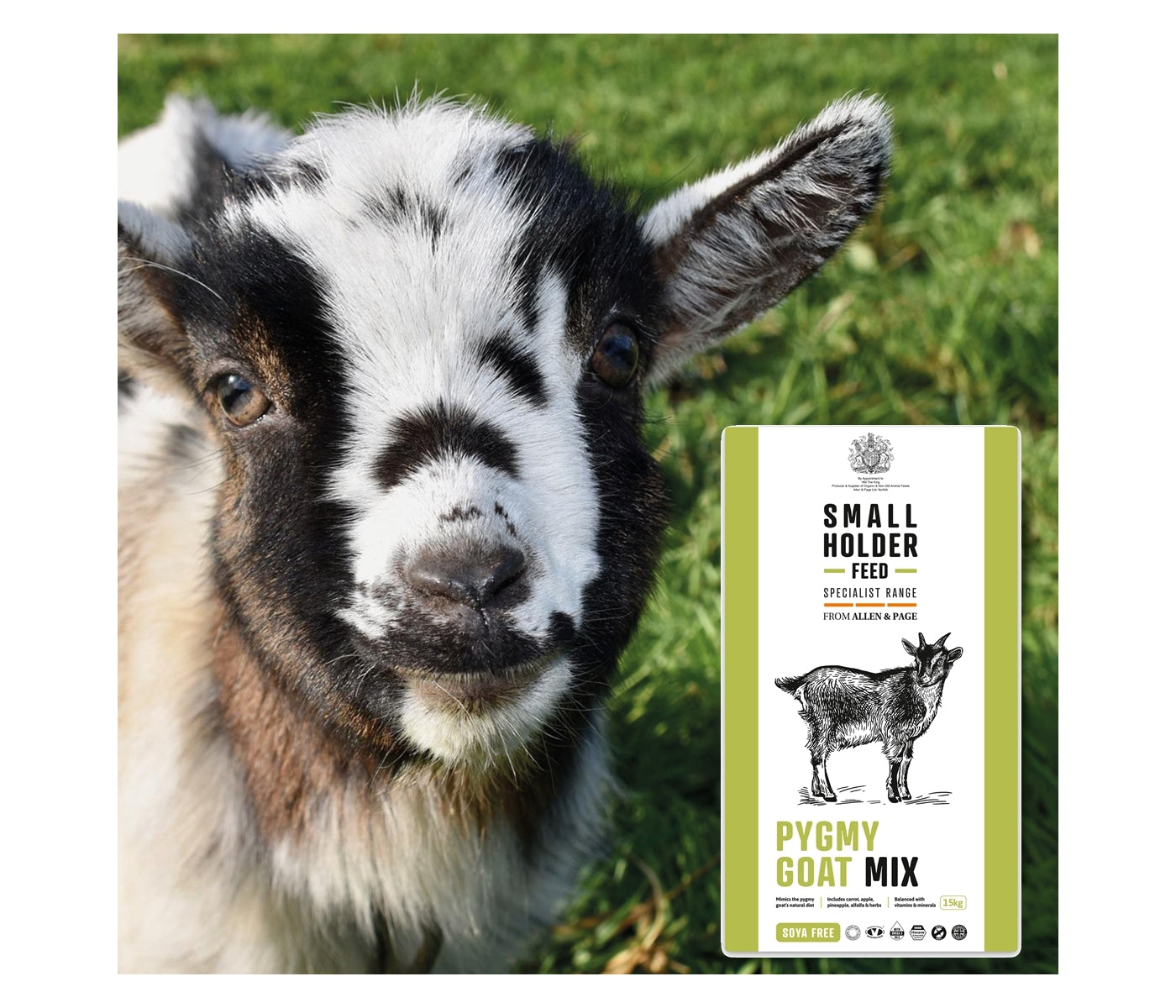 Smallholder - Pygmy Goat Mix 15kg - Buy Online SPR Centre UK