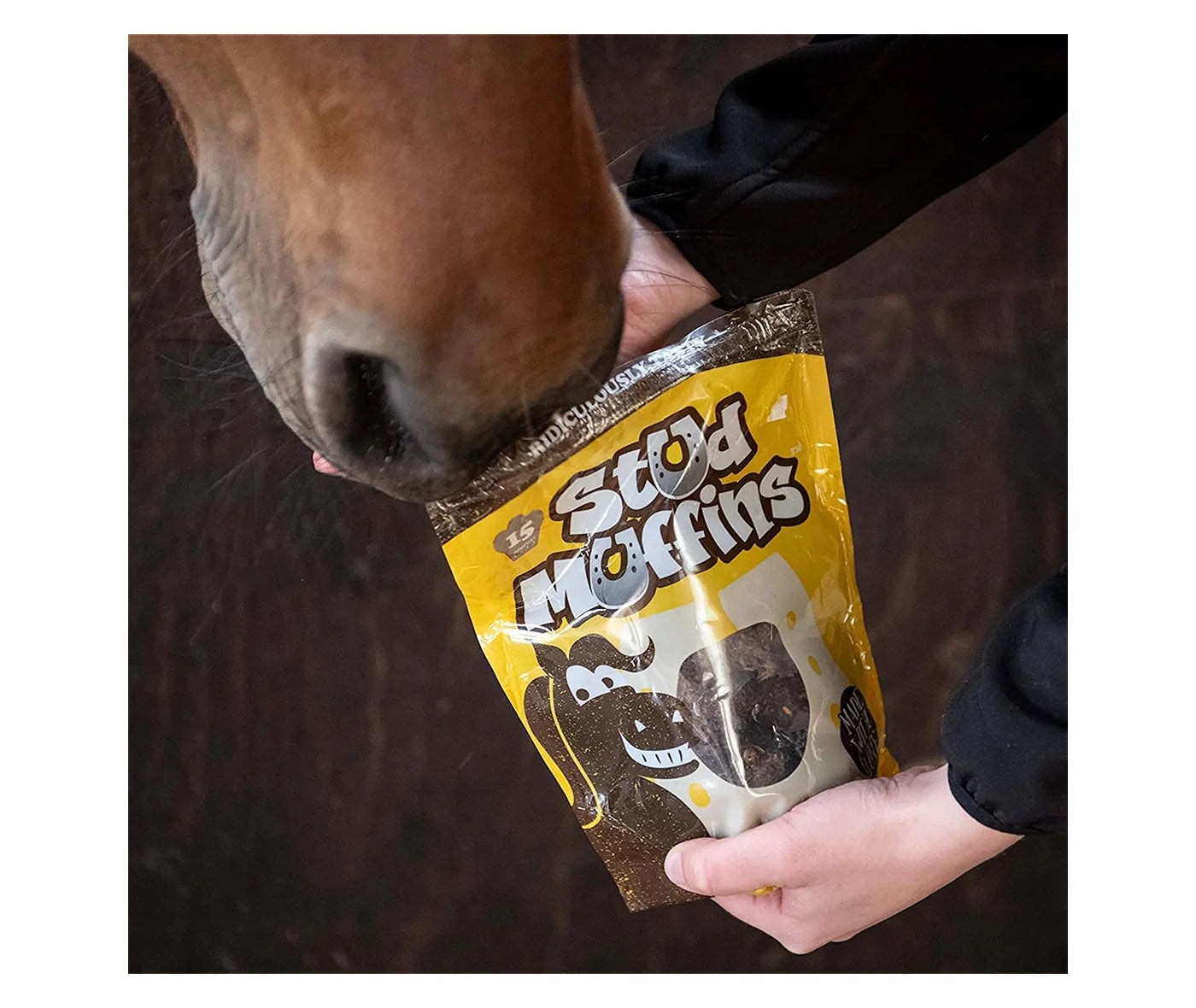Stud Muffins - Horse Treats (15 Pack) - Buy Online SPR Centre UK