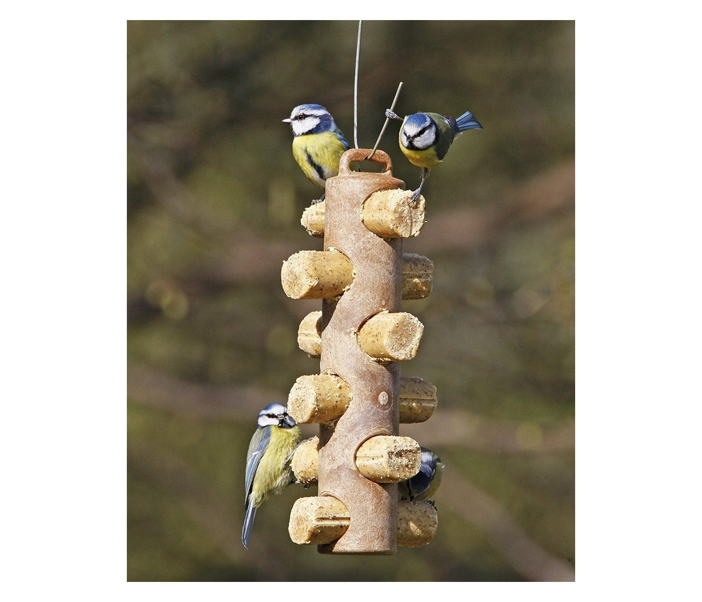 Suet to Go - Suet Logs Insect Flavour (6 Pack) - Buy Online SPR Centre UK
