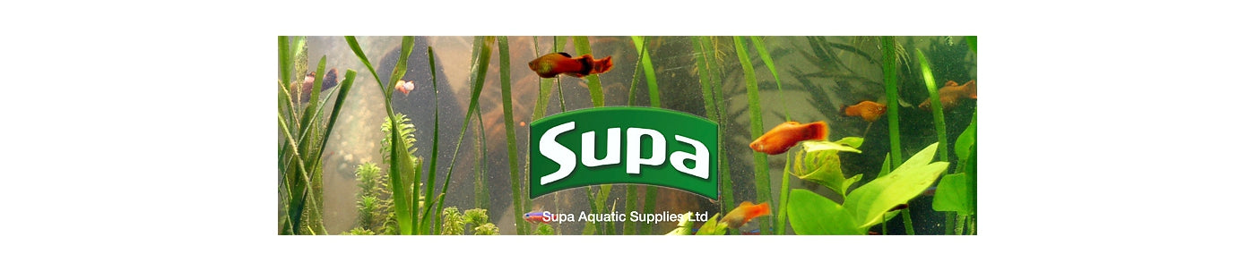 Supa - Holiday Fish Food Feeding Block - Buy Online SPR Centre UK