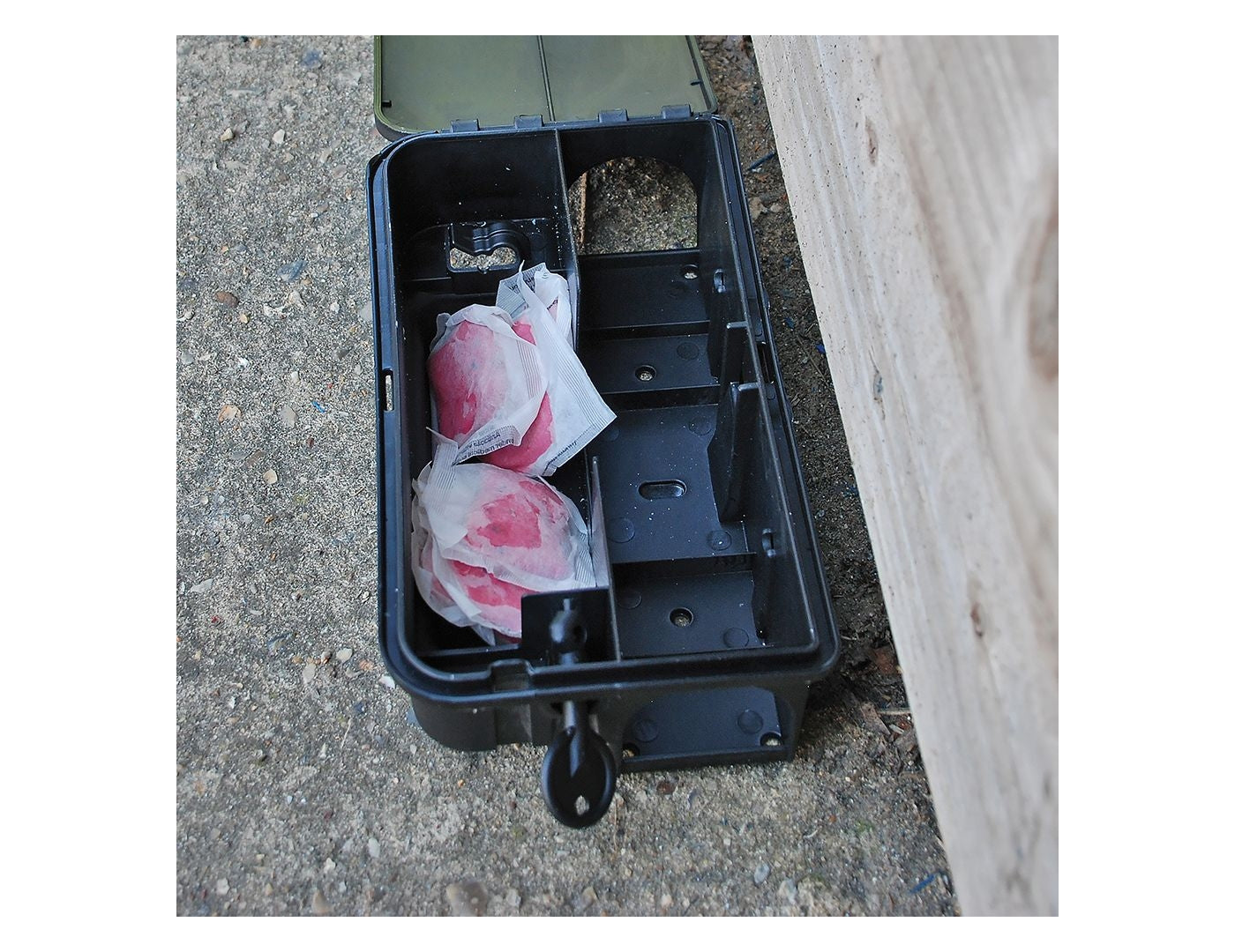 The Big Cheese - Mouse & Rat Killer Pasta Bait - 15 Sachets - Buy Online SPR Centre UK