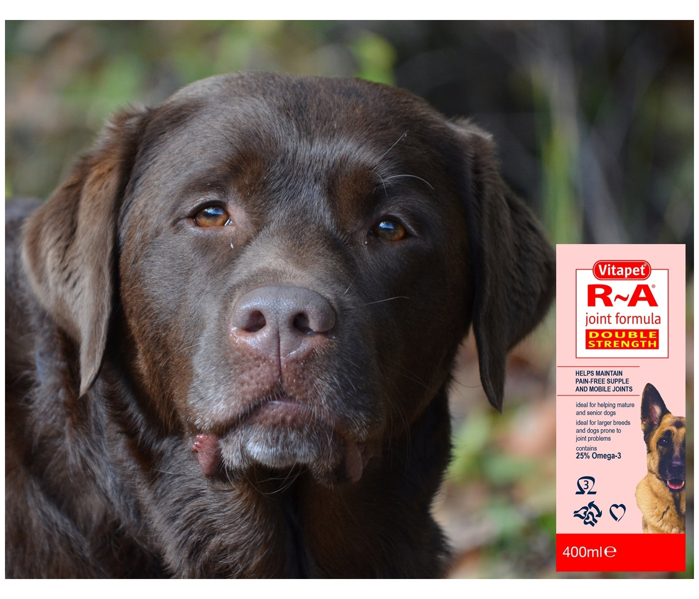 Vitapet - R-A Joint Formula for Dogs (Double Strength) - 400ml