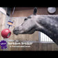 Likit Boredom Breaker (Purple) - Buy Online SPR Centre UK