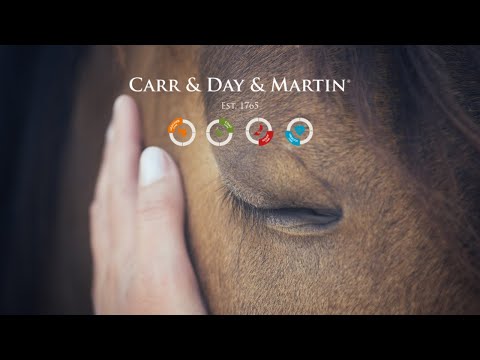 Carr & Day & Martin - Horse Care Sponge - Buy Online SPR Centre UK