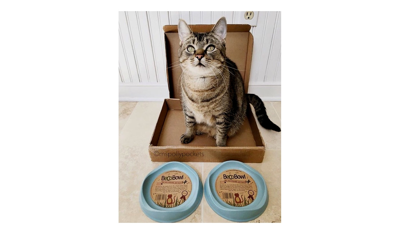 Beco - Bamboo Cat Bowls - Buy Online SPR Centre UK