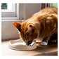 Beco - Bamboo Cat Bowl (Natural) - Buy Online SPR Centre UK