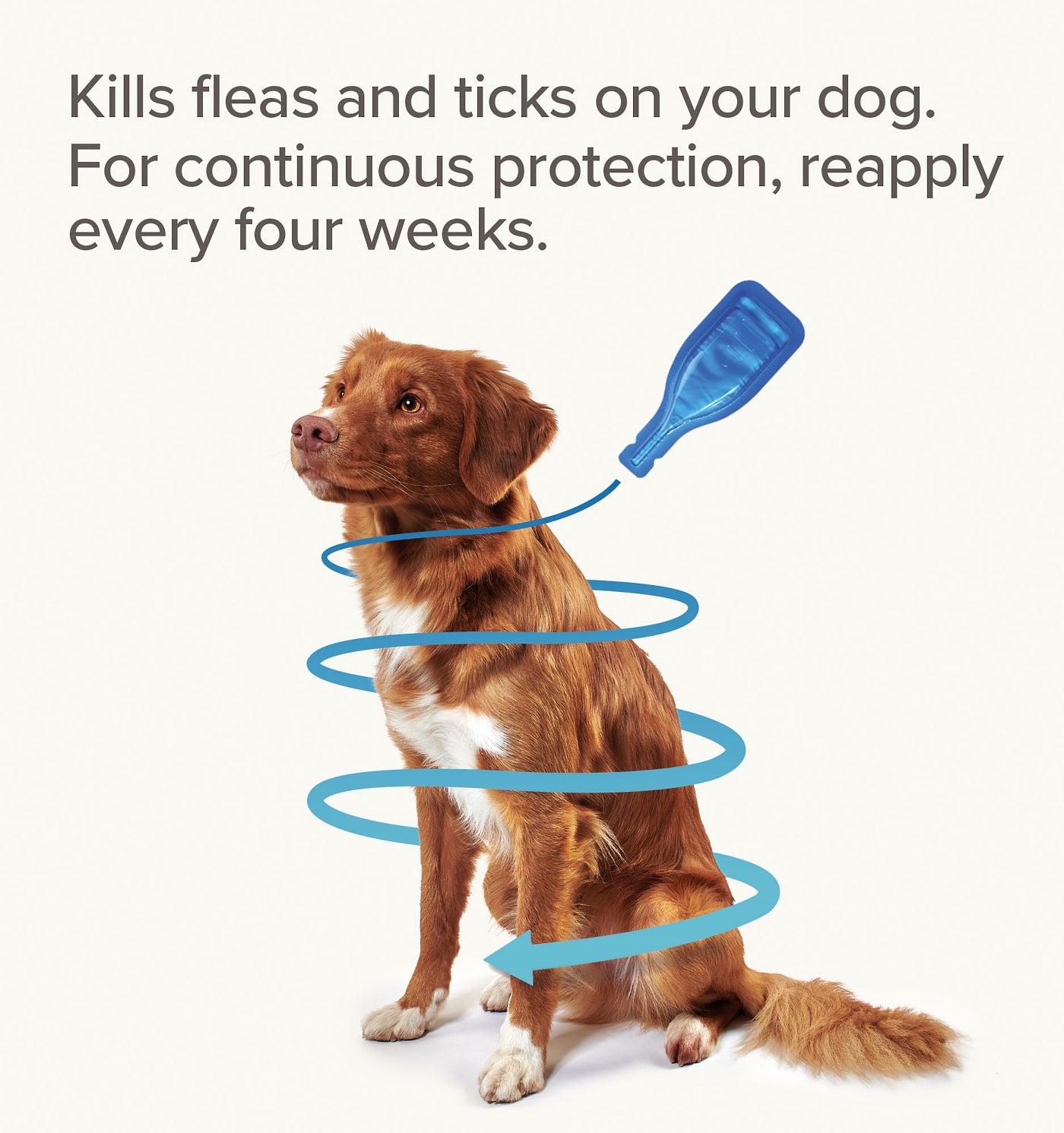 Beaphar - FIPROtec® Flea & Tick Spot-on For Extra Large Dogs (40-60kg) - 4 Pipettes