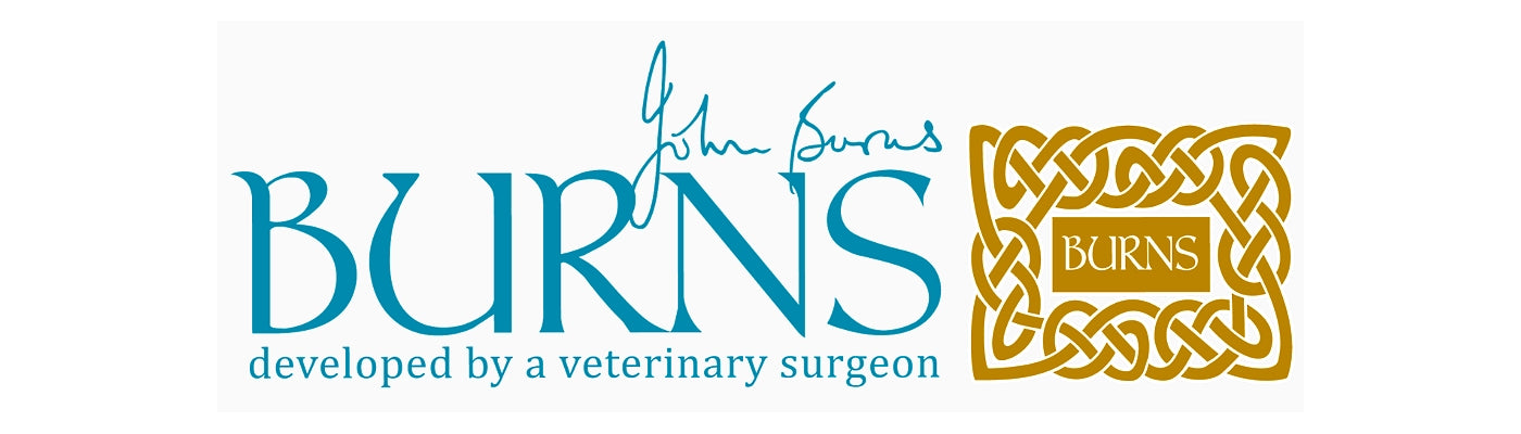 Burns - Grain Free Puppy/Junior (Duck & Potato) - 2kg