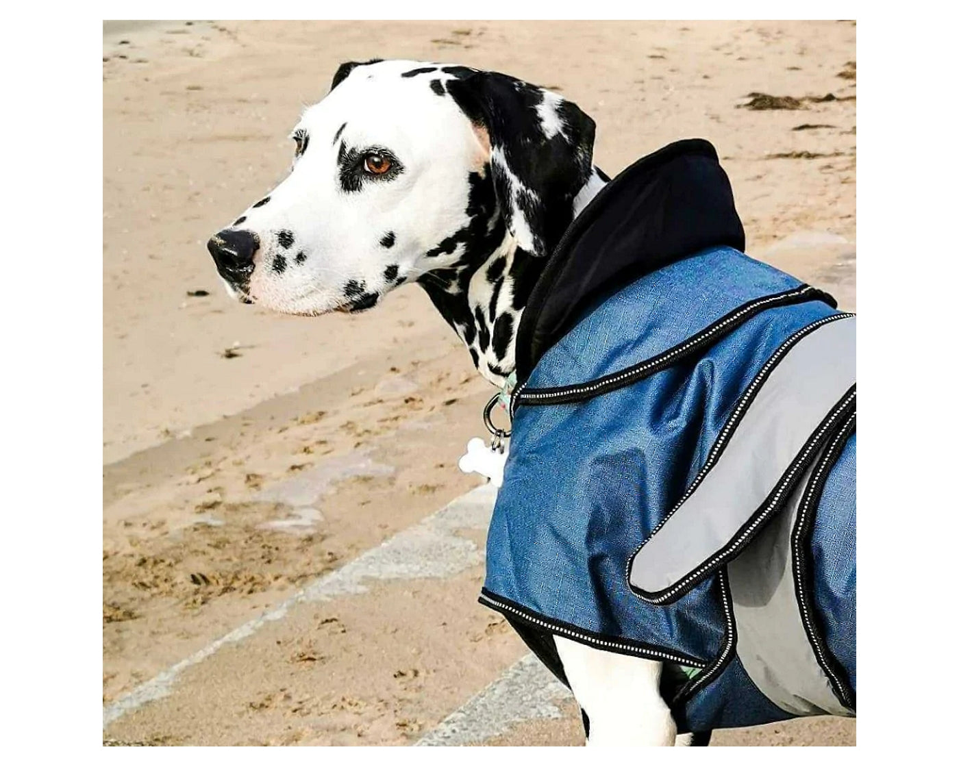 Danish Design - Ultimate 2-in-1 Dog Coat (Blue)