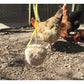 Feldy - Hanging Pecker Block for Chickens (Garlic Flavour) - Buy Online SPR Centre UK