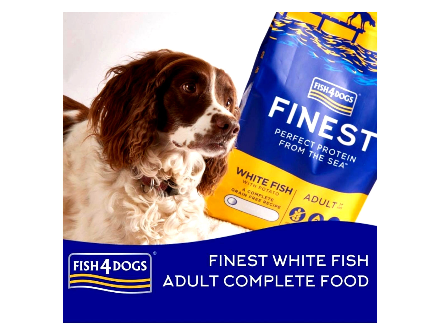 Fish4Dogs - Finest Adult White Fish & Potato (Large Kibble) - 1.5kg