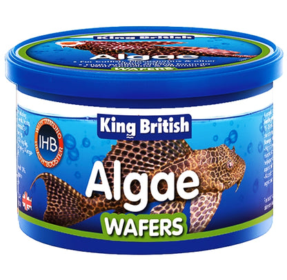 King British - Algae Wafers (with IHB) - Buy Online SPR Centre UK
