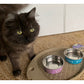 Loving Pets - Metallic Bella Cat Bowls (Fish Skeleton) - Buy Online SPR Centre UK