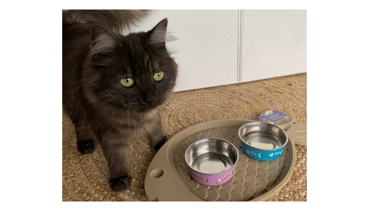 Loving Pets - Metallic Bella Cat Bowls (Fish Skeleton) - Buy Online SPR Centre UK