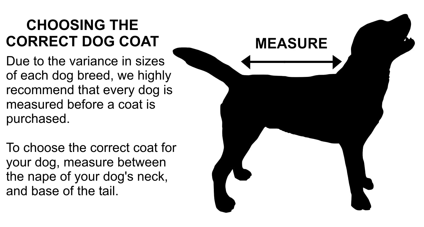 Danish Design - Ultimate 2-in-1 Dog Coat (Blue)