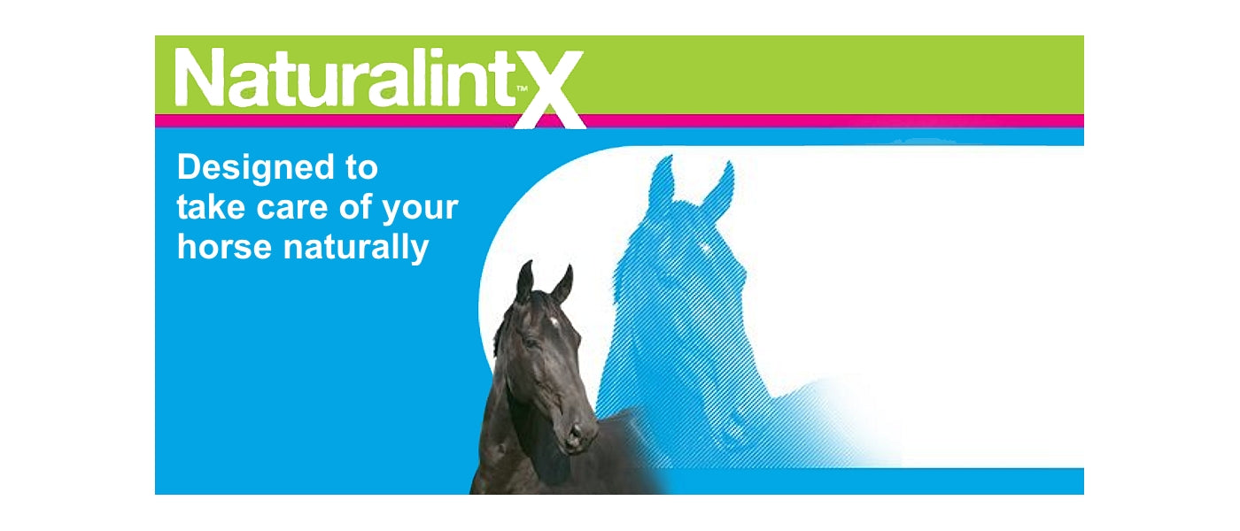 NAF NaturalintX - Wound Dressing for Horses - Buy Online SPR Centre UK