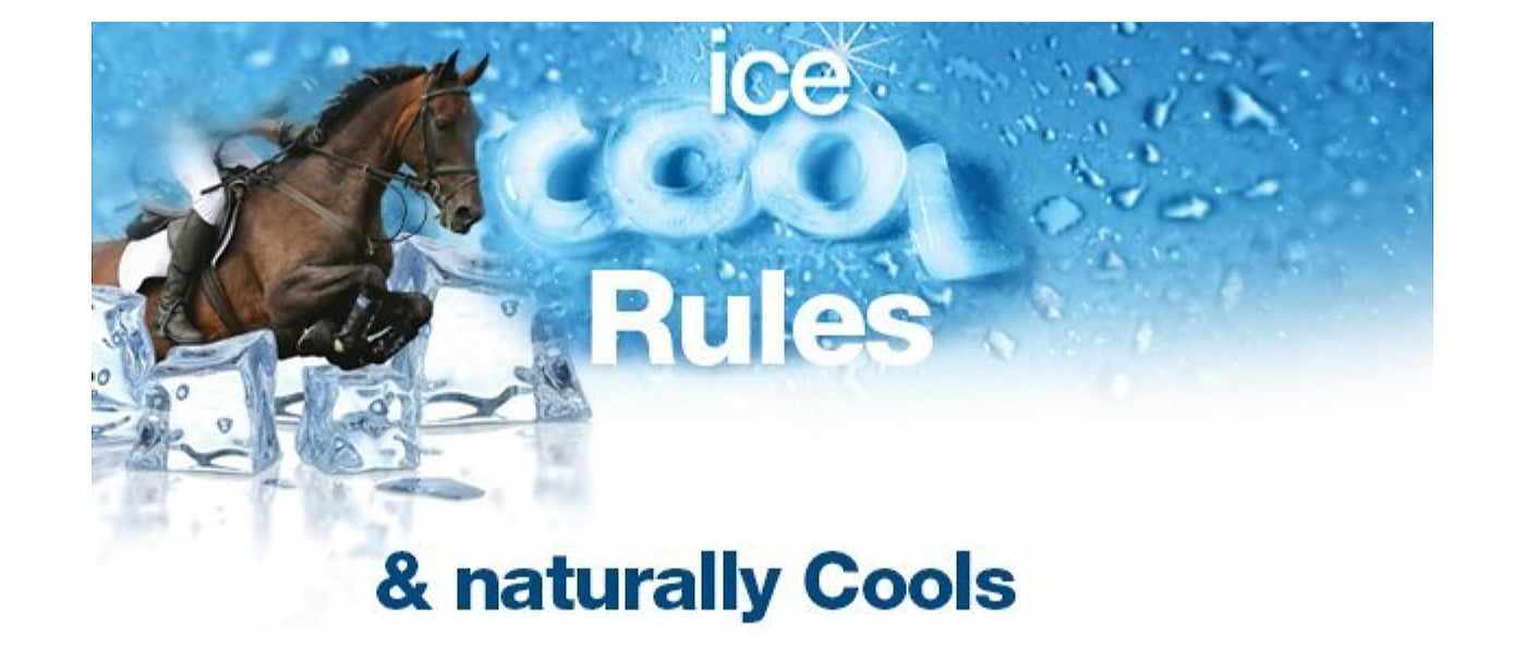 NAF - Ice Cool Gel for Horses - Buy Online SPR Centre UK