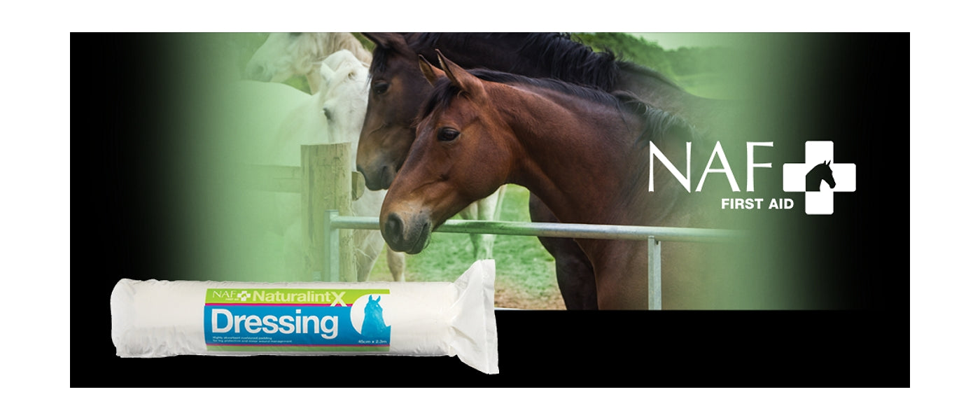NAF NaturalintX - Wound Dressing for Horses - Buy Online SPR Centre UK