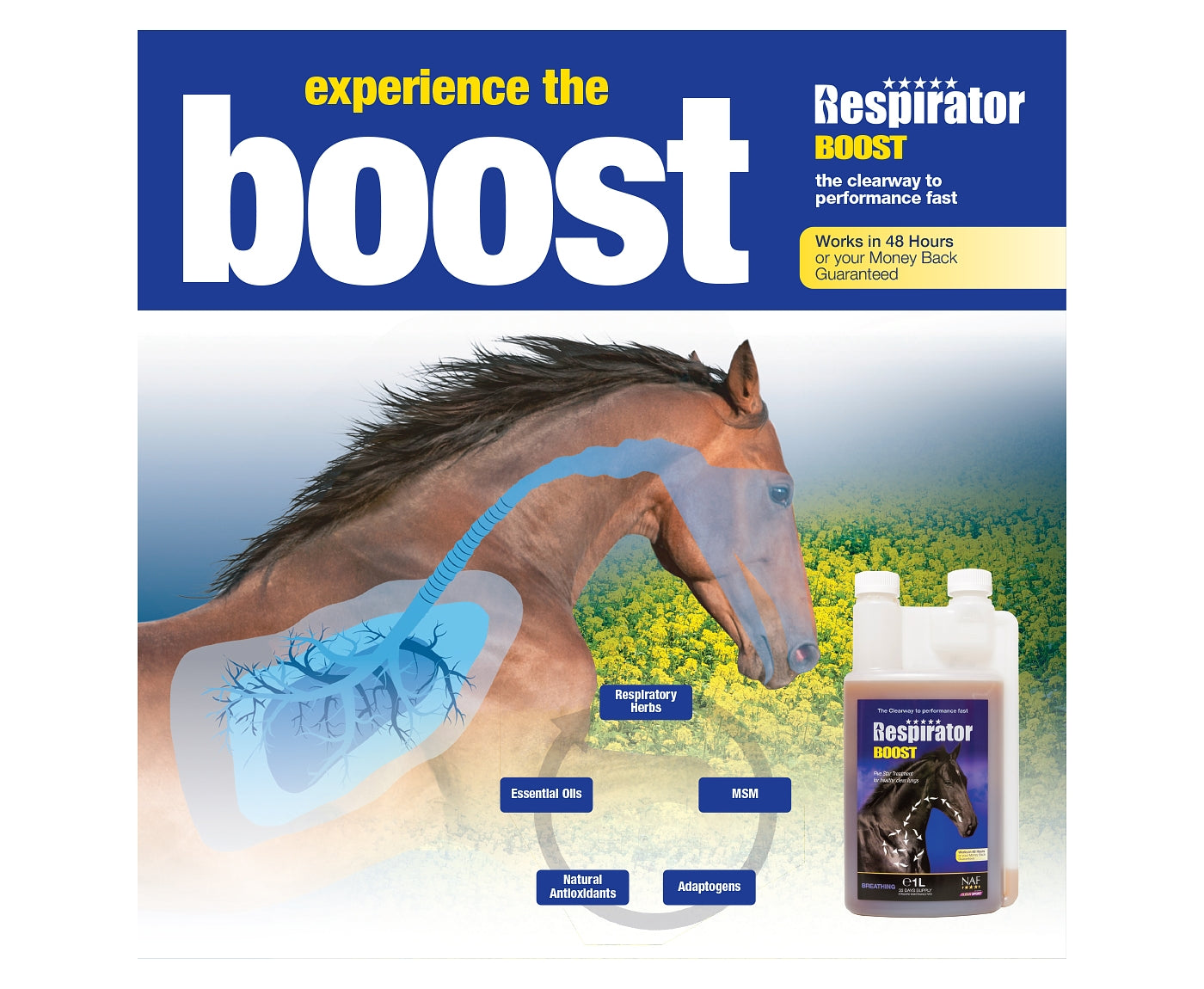 NAF - Respirator Boost | Horse Care - Buy Online SPR Centre UK