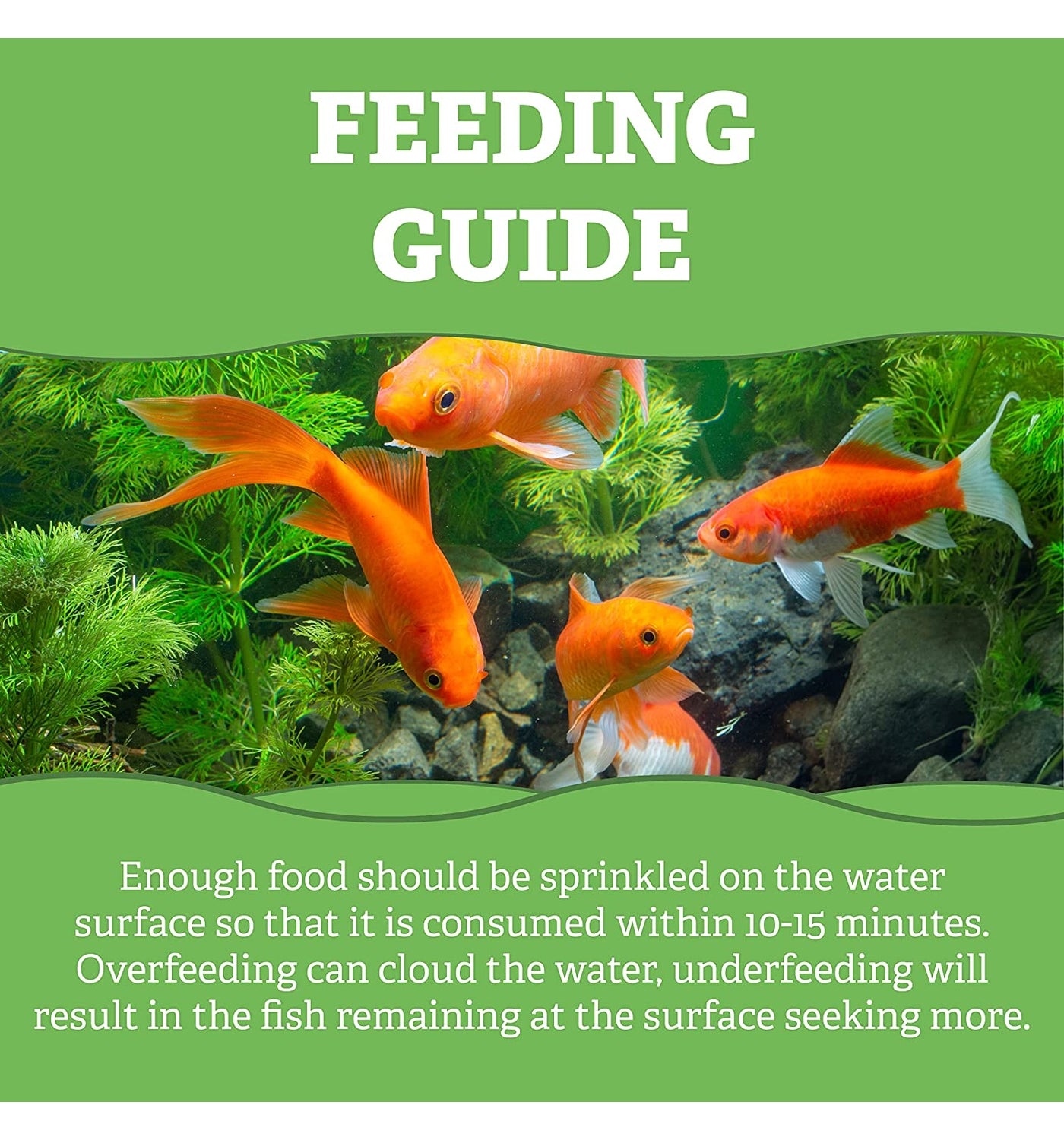 Pets Choice - Pond Sticks - 5kg